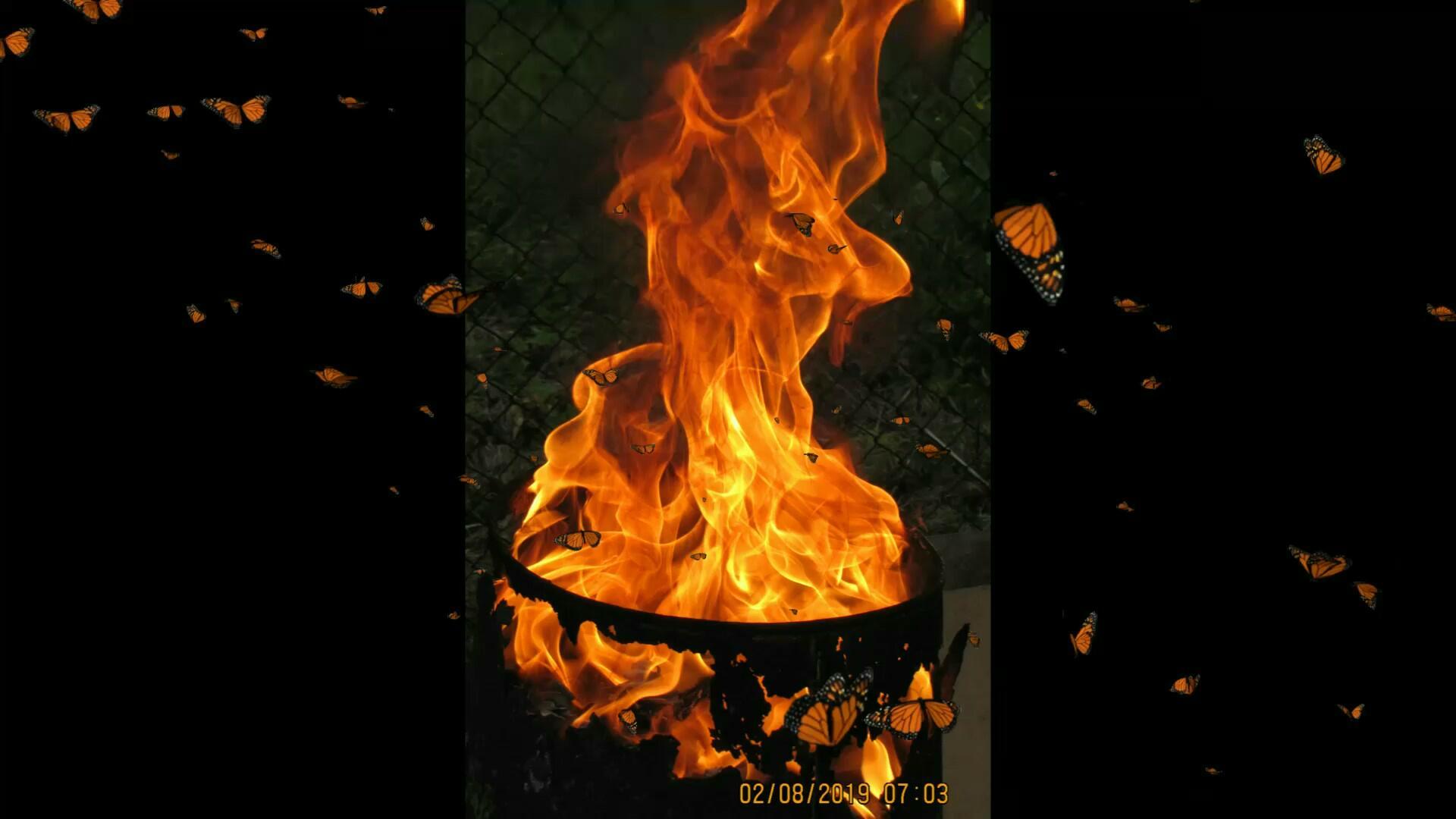 СЕМЬДЕСЯТ ПЕРВЫЙ НОЯБРЬ…