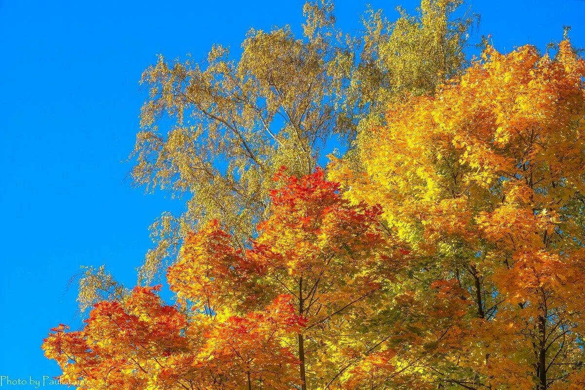 И снова осень