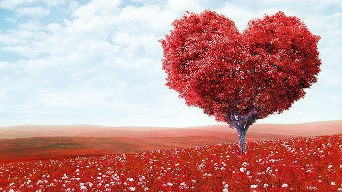 Моя ты судьба