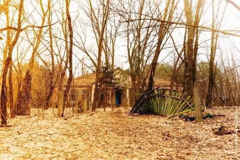 Город дождливого сна