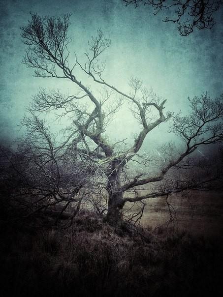 Гнилые чувства мертвых людей