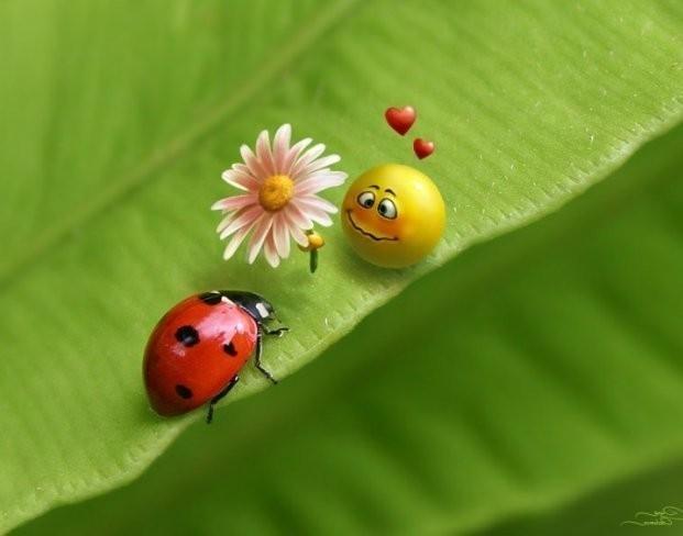 Она придет беззвучно.