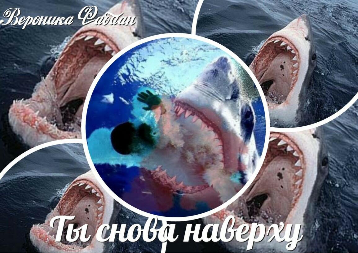 Ты снова наверху...