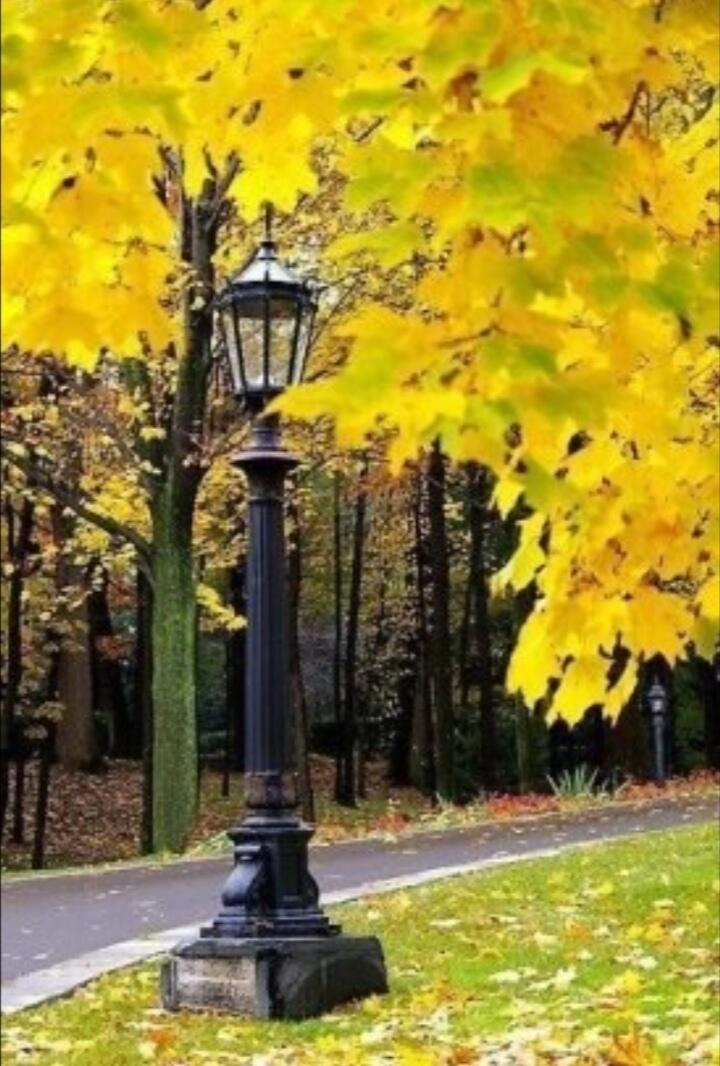 Осень любовь.. 