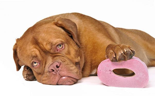 ЗОНА КОМФОРТА