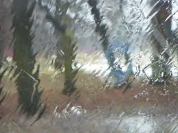 ЗИМНИЙ  ДОЖДЬ