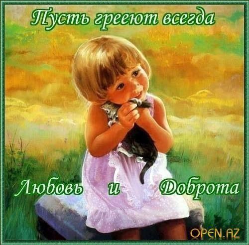 Не защитникам Животных