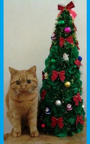 Волшебники - это тоже люди...