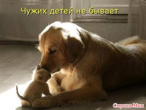 Мама, как много нежности и ласки.