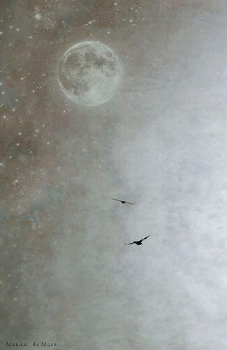 Вперёд и ввысь! (III)