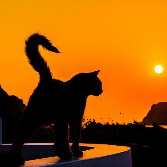 КАКОЕ  ЗАВТРА . . . 