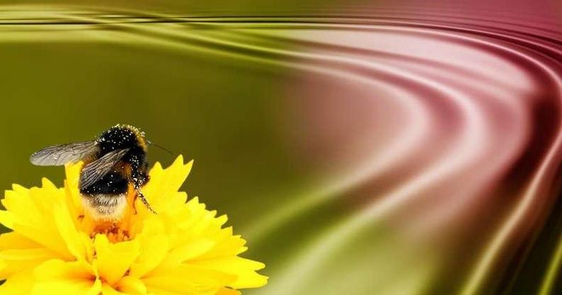 Я заявляю, как мужчина – Вы замечательны, как есть!