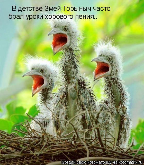 Одна голова - хорошо!!!