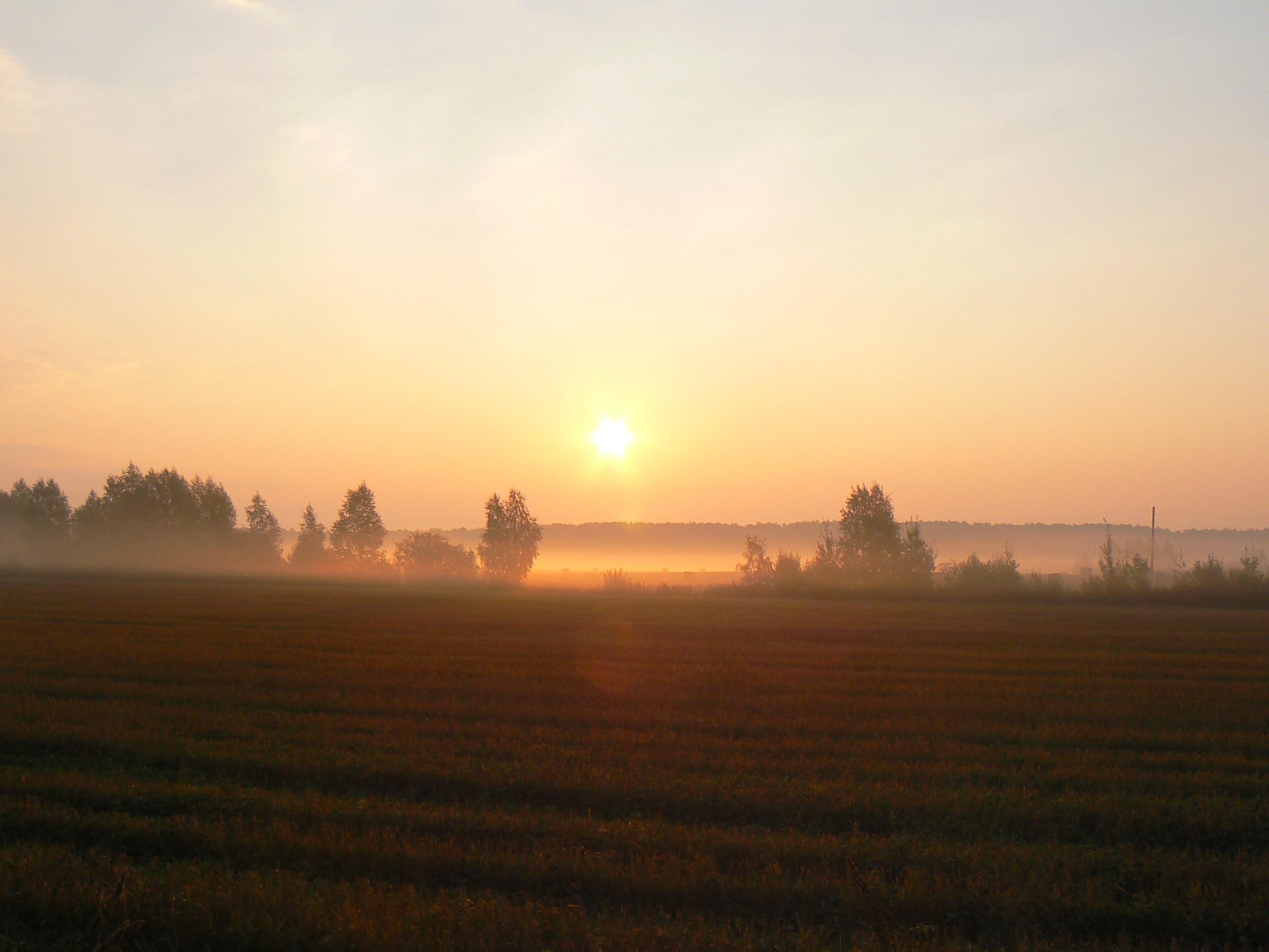 Дороги России.