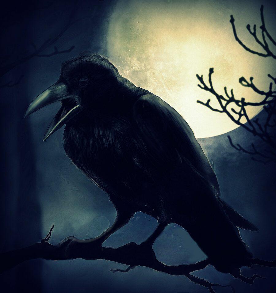 Картинки даоса Ли Бо: "Ночной крик ворона".