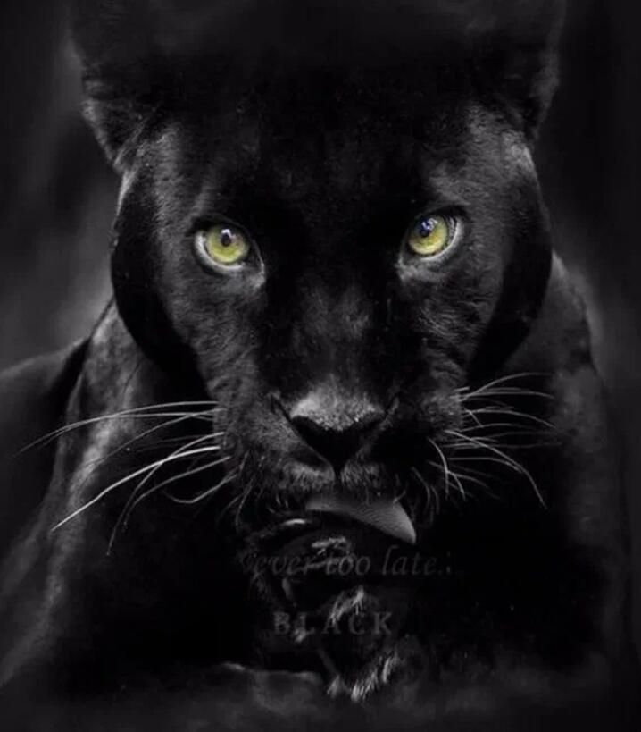 Теперь мой мальчик