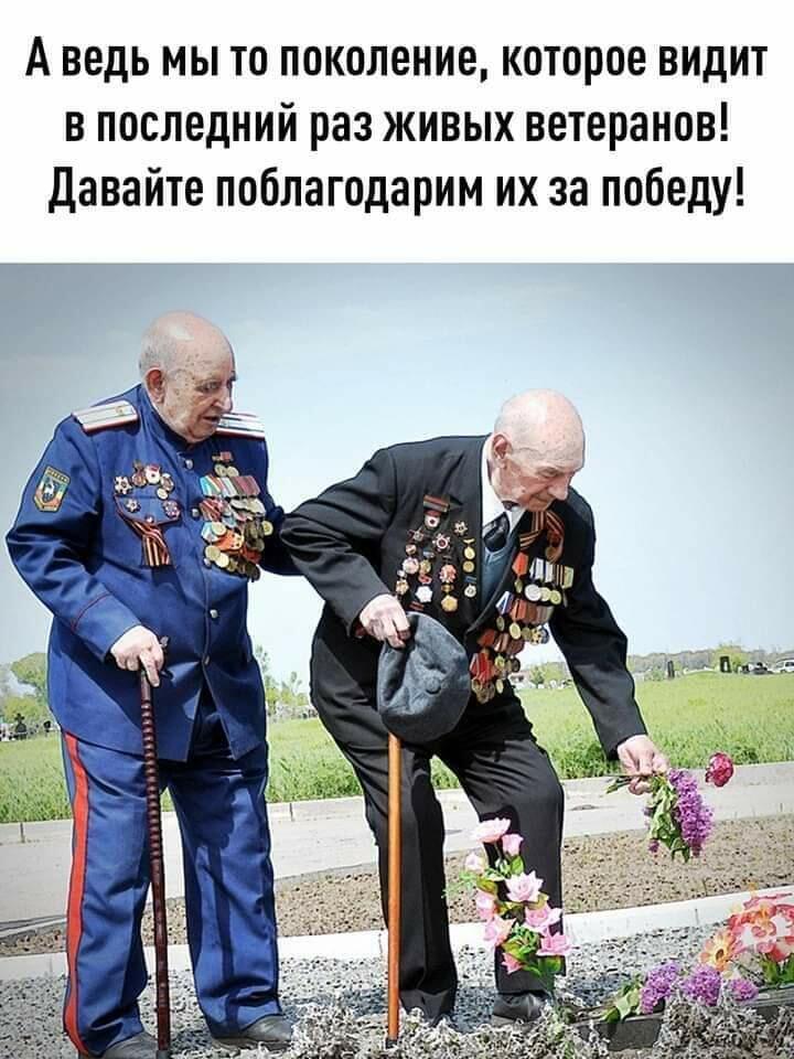 АХ, ВОЙНА...