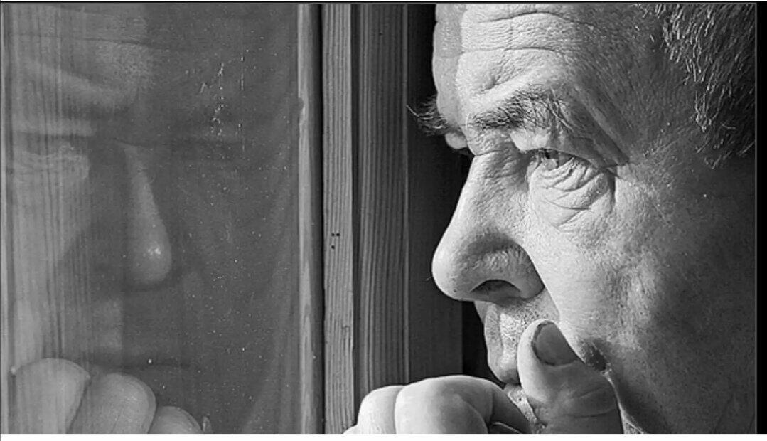 Гляжу в окно... проза жизни