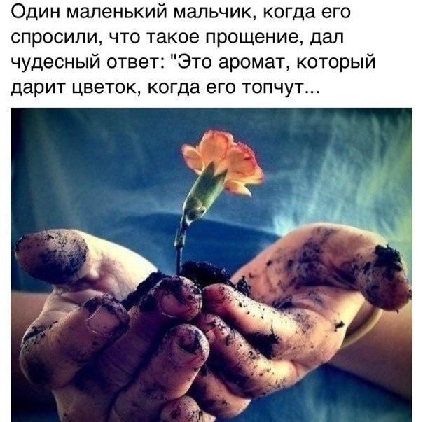 Прости их всех