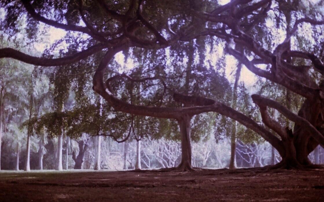 V – Доброго Путешествия, Странник~