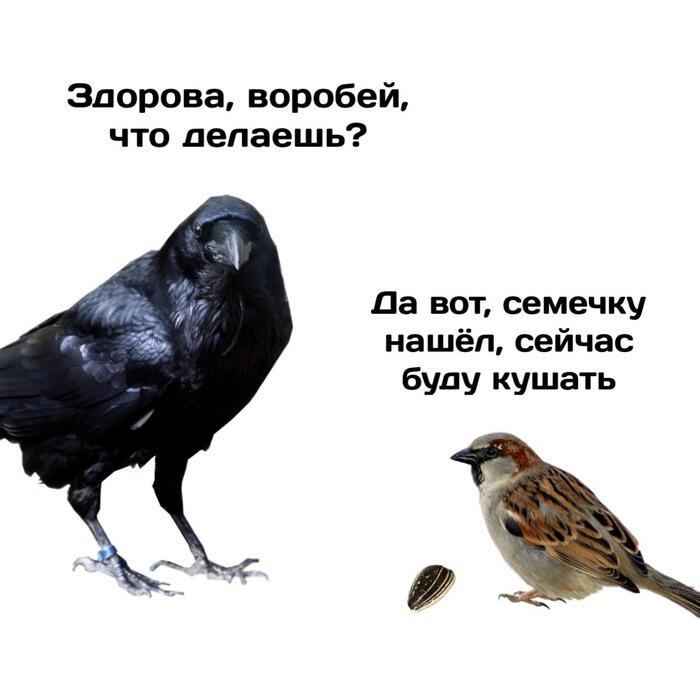 "Городская жизнь"