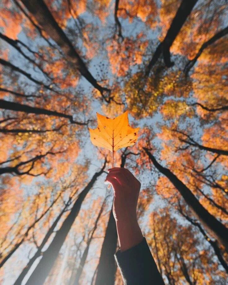 Поживём и поглядим...