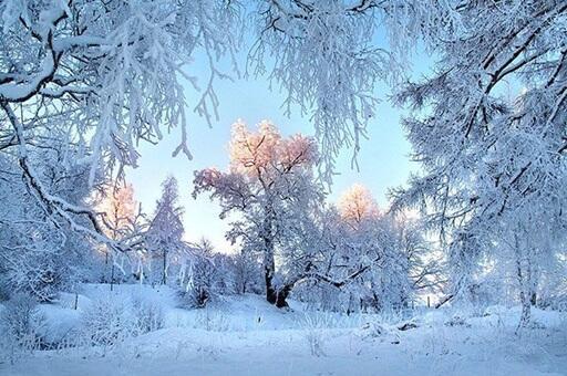 ФЕВРАЛЬ - ЗИМЫ ПОСЛЕДНИЙ СЫН