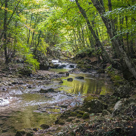 ЗАЙДИ И ТЫ, ПРОШУ, В МОЙ ХРАМ ДУШИ...