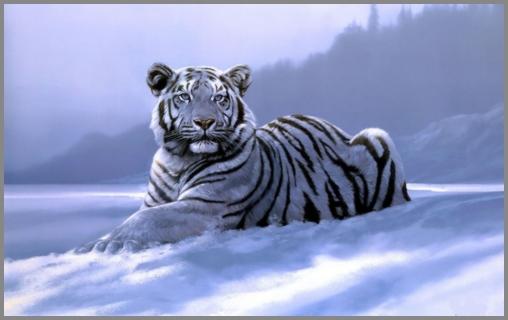 ЛЕГЕНДА О ПОСЛЕДНЕМ ТИГРЕ