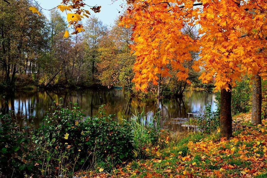 ЗАТМИВ ОЧАРОВАНИЕ