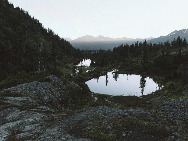 "сказочник"