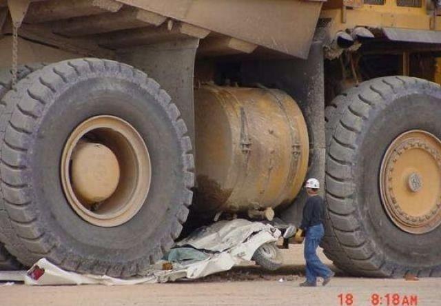 Всю малину обломал...