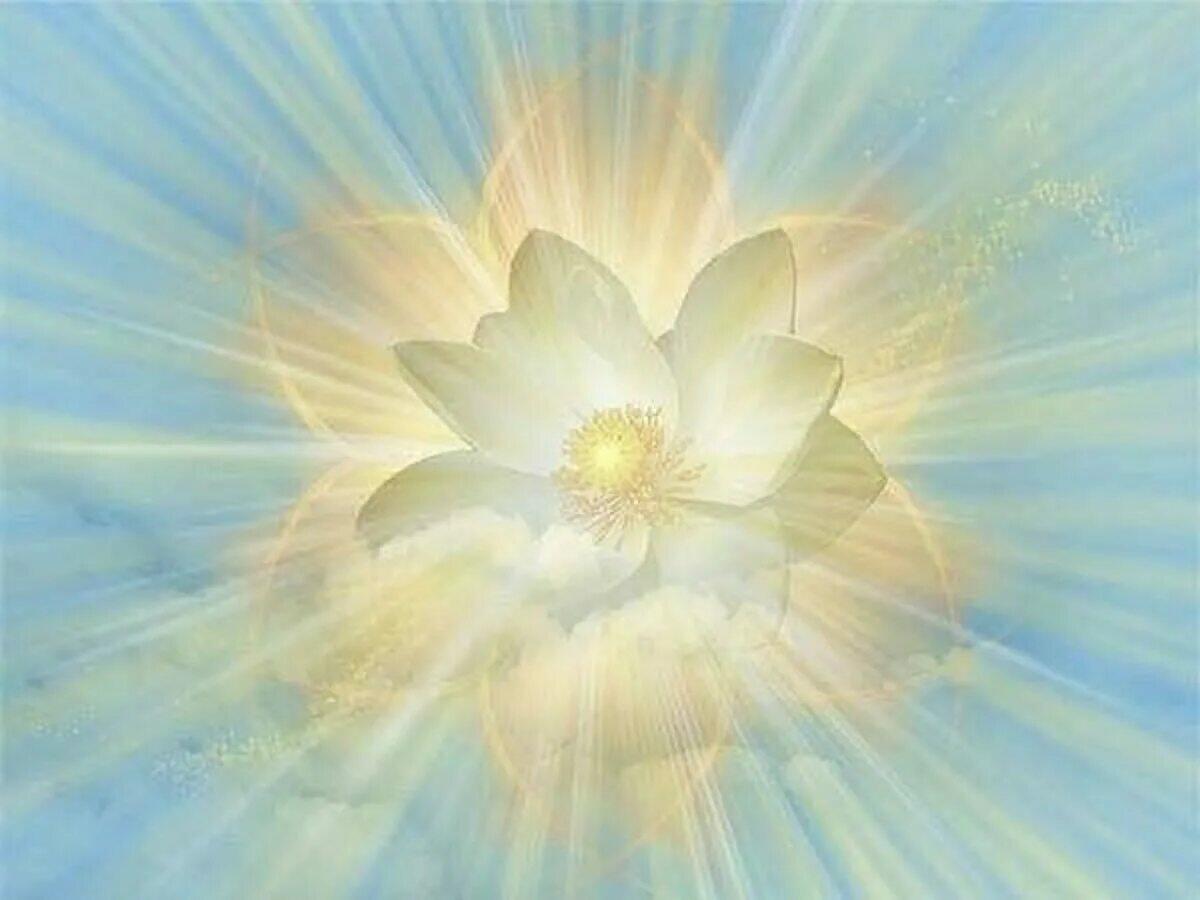 ПРЕДВЕСТНИК НОВОЙ СУЕТЫ... 