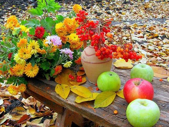 ЗАВЕРШАЕТСЯ АВГУСТ...