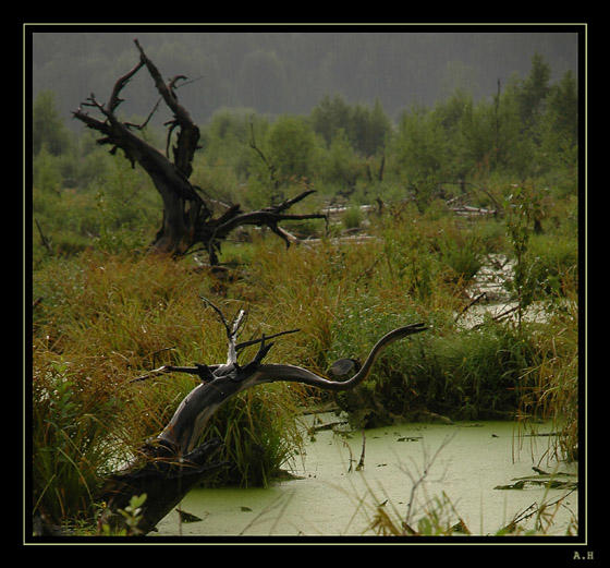 К чёрту на кулички