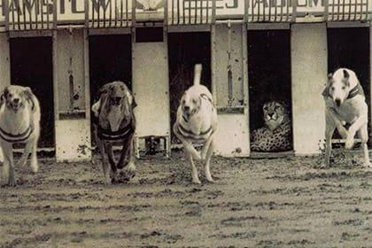 Мне нечего доказывать...