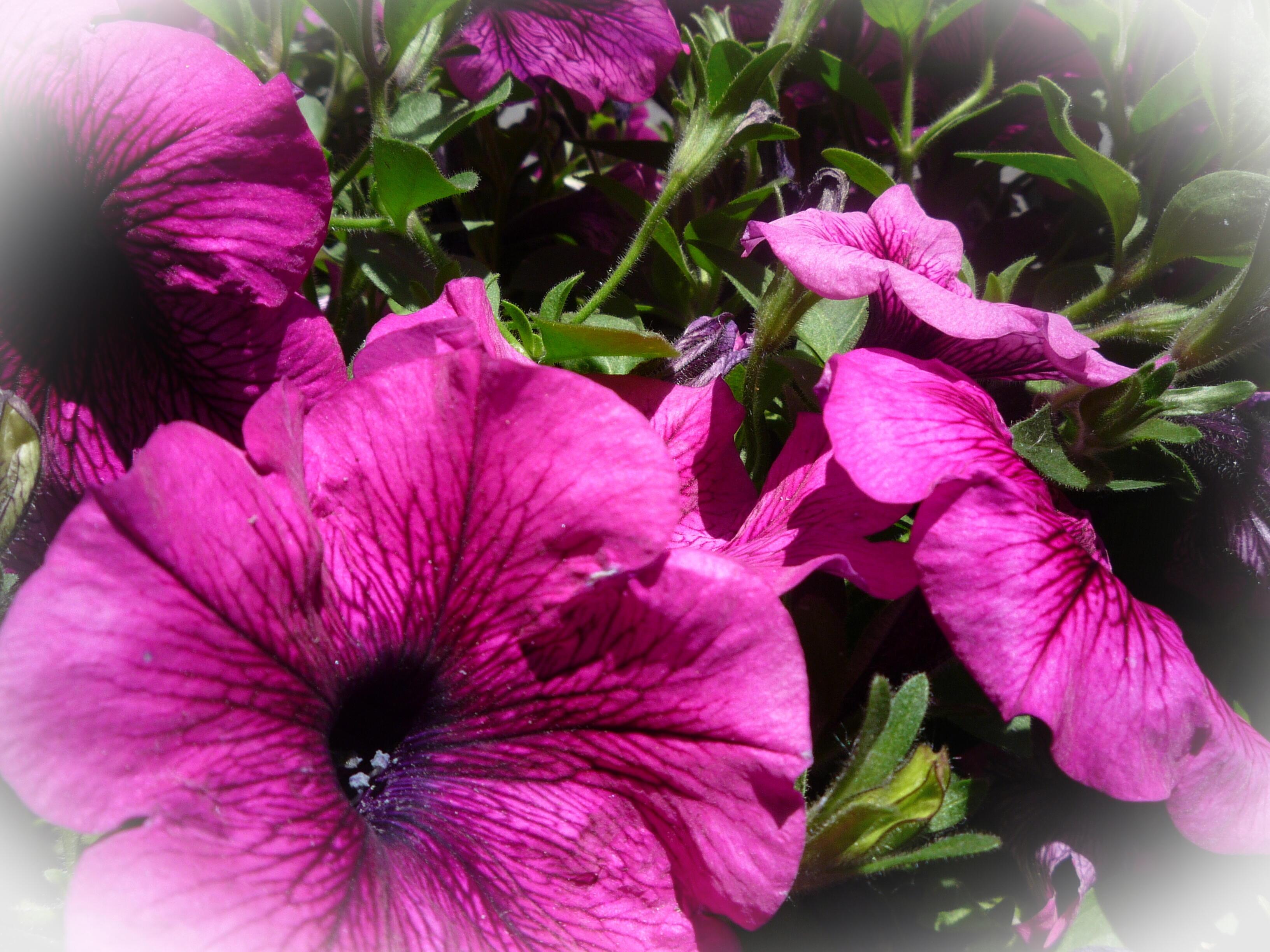 Счастья вспомнится миг...