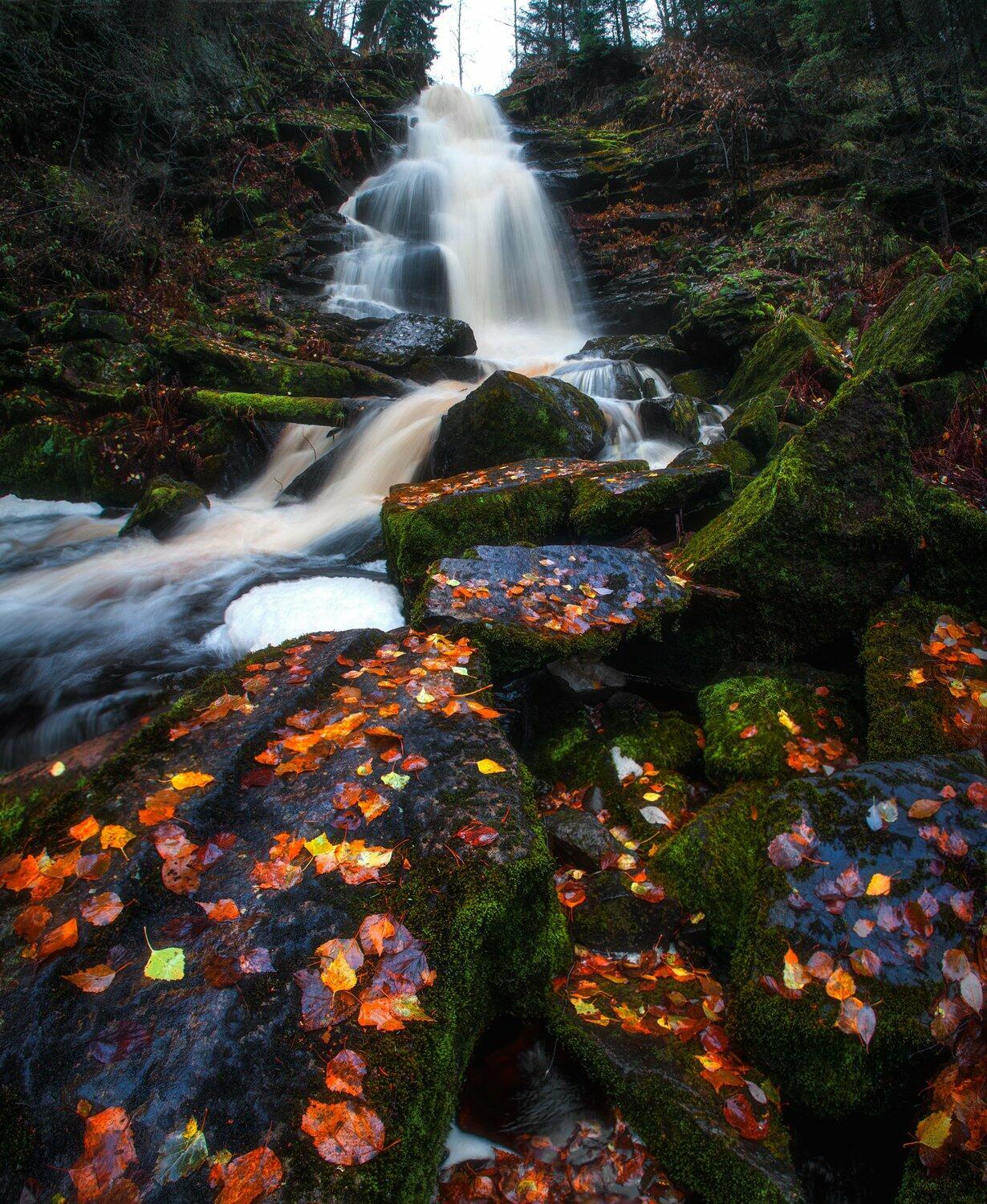 ОСЕННИЕ КРАСКИ КАРЕЛИИ по фото