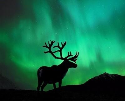 Сказочный Север