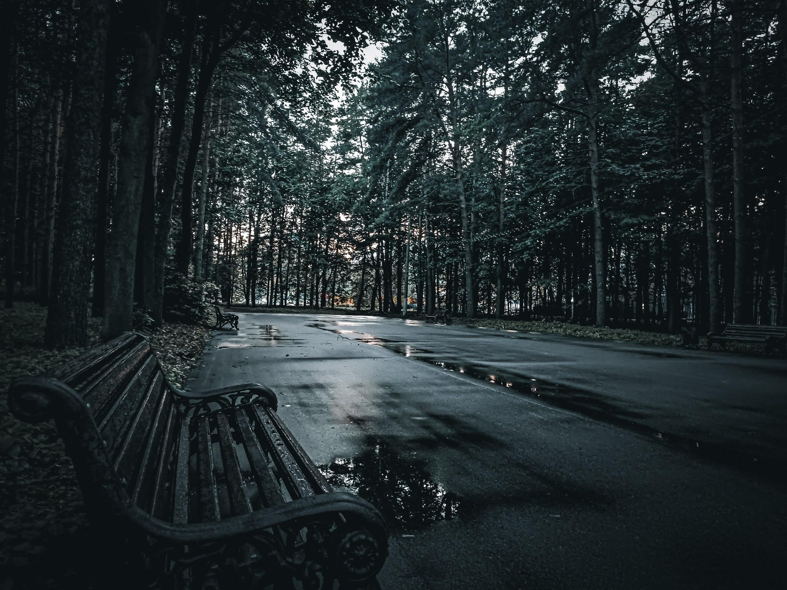 Искра и Надежда 