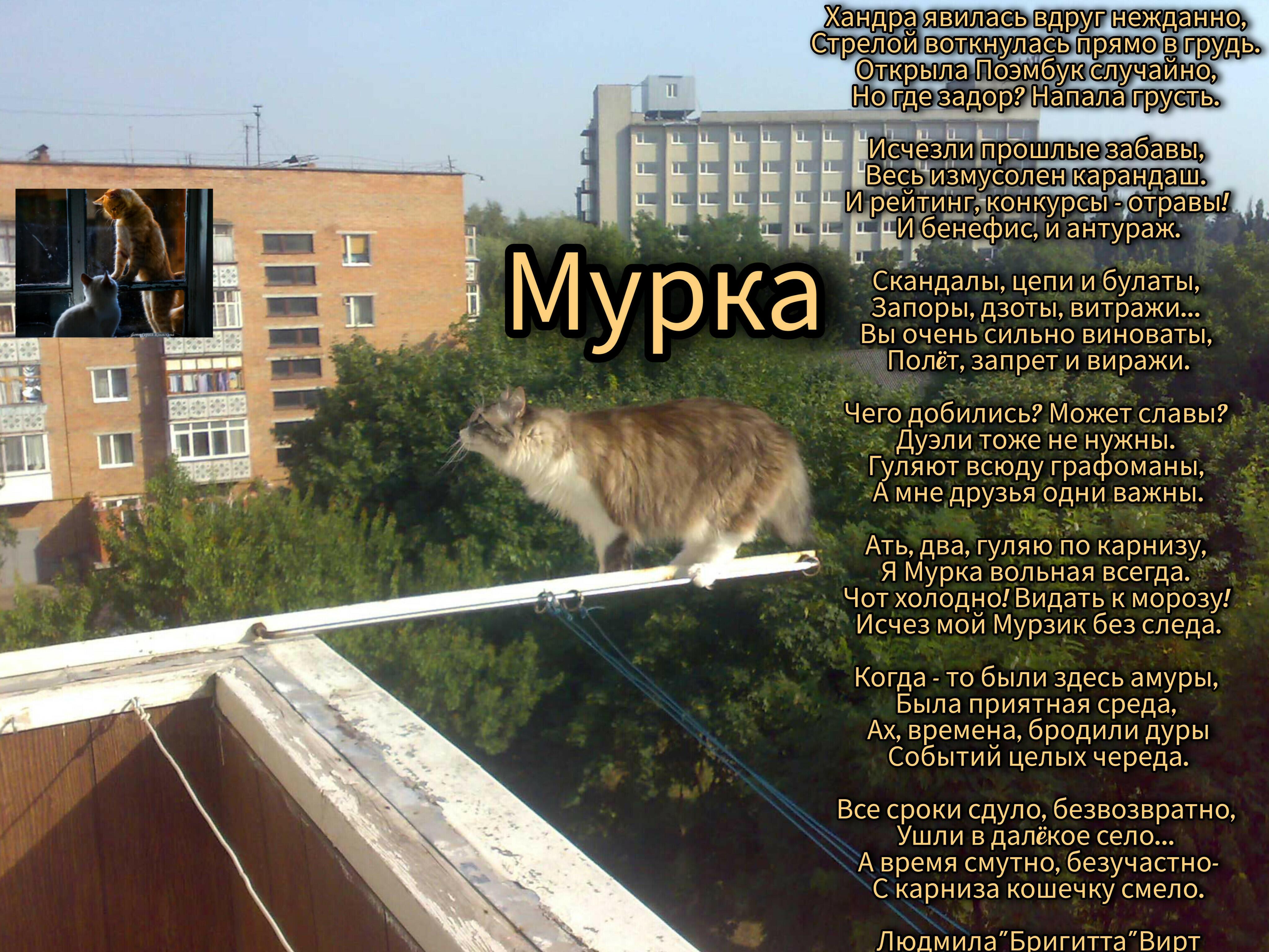 Мурка