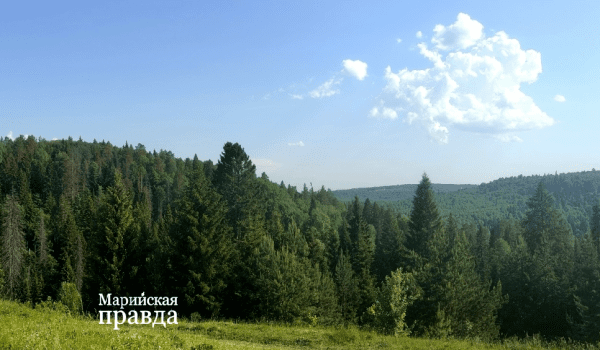 КРУГОМ ТАКАЯ БЛАГОДАТЬ...