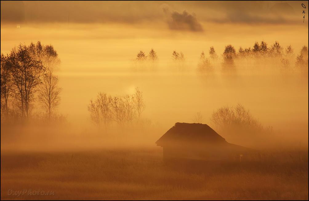 Спят в тумане поля. Деревенский дом в тумане на рассвете. Дома в тумане на рассвете осенью. Солнечный туман. Ежик в тумане и рассвет.