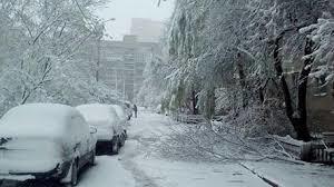 Снегом всё  запорошило