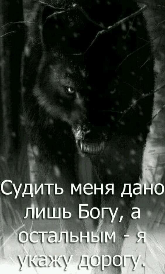 С волком жить, по волчьи выть...