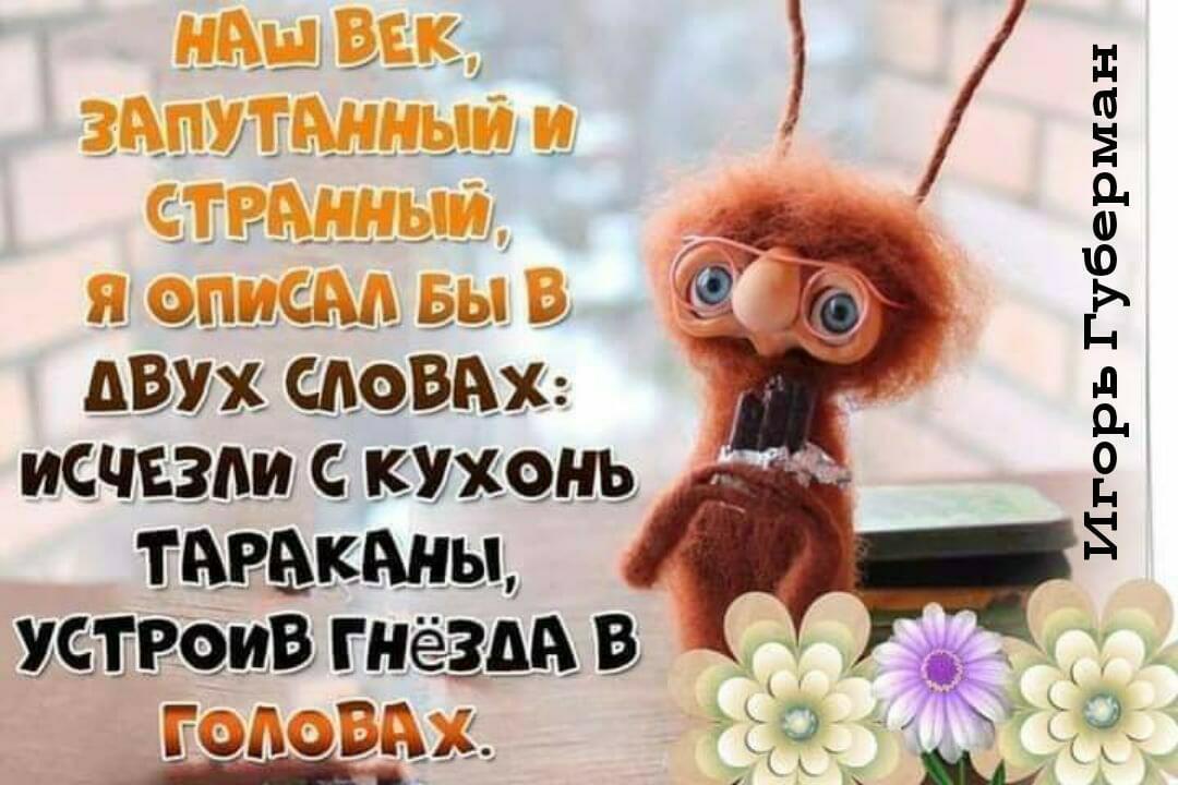 Мы убеждали тараканов