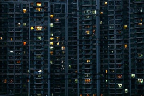 самые последние суки.