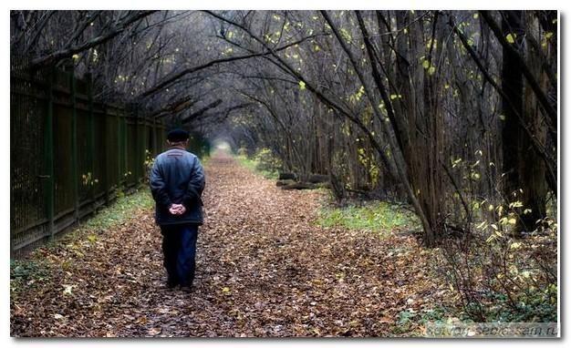 Жизненный путь.