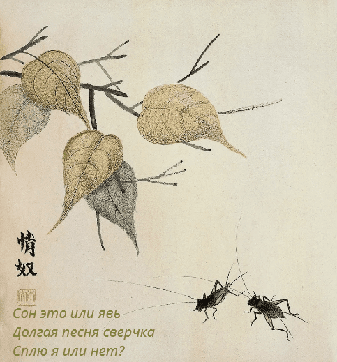 Долгая песня сверчка