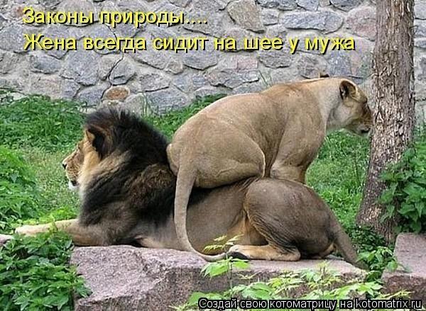 Мечты сбываются.